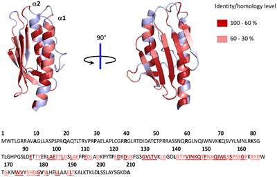 Recent Advances in the Elucidation of Frataxin Biochemical Function Open Novel Perspectives for the Treatment of Friedreich’s Ataxia